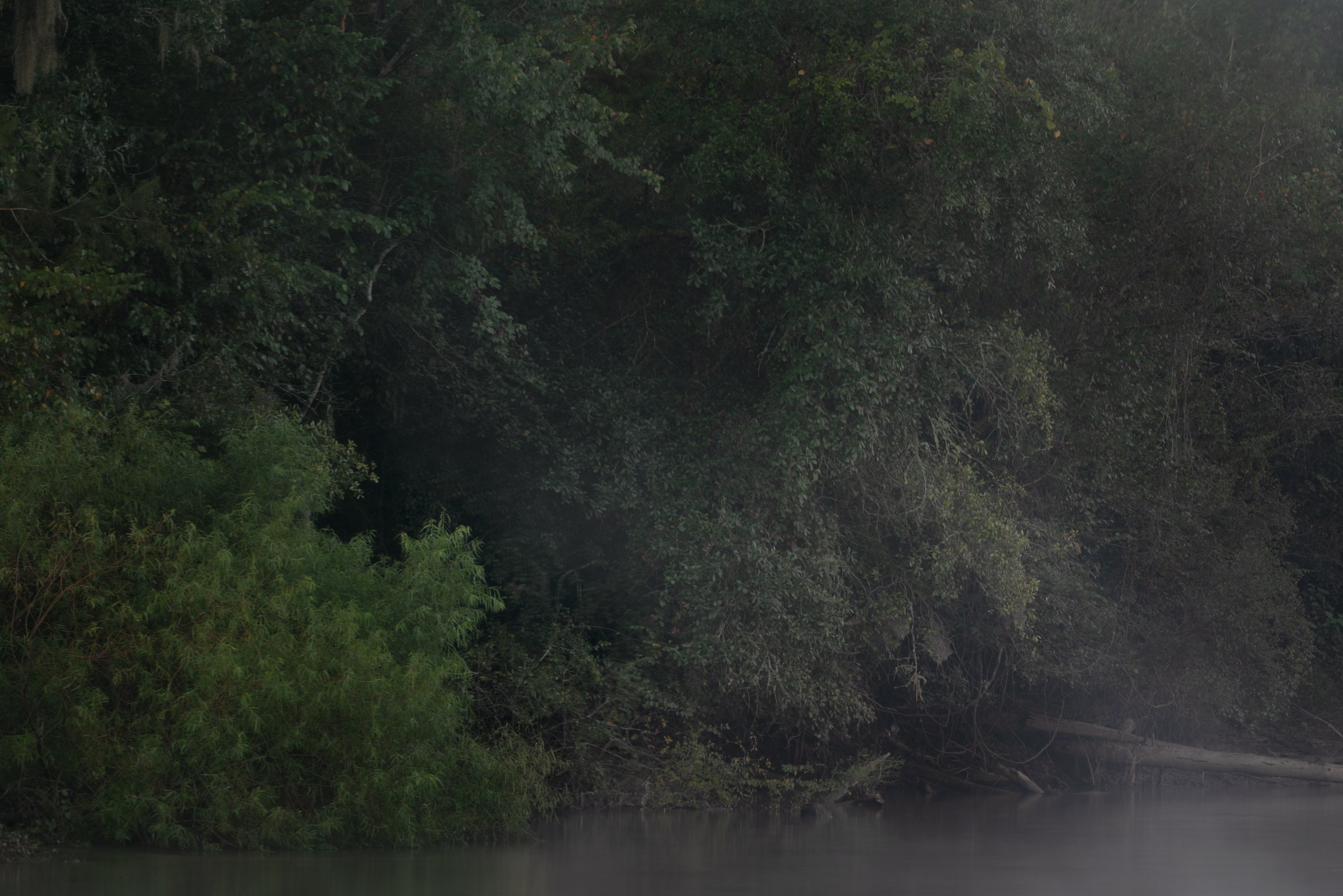 Secret from the River